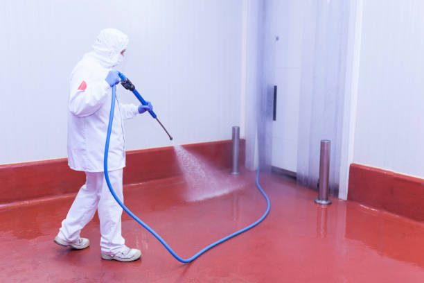 Best Solar Panel Cleaning  in Silsbee, TX