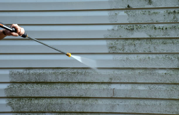 Best Patio and Deck Pressure Washing  in Silsbee, TX